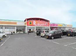 ダイレックス小郡店
