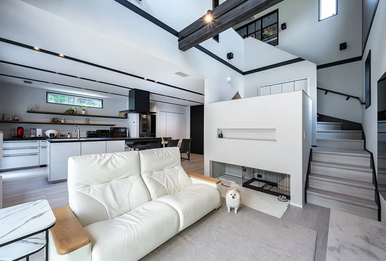 愛犬の部屋はスキップフロアの下に設け、スキップフロアにはピアノを置き、ステージのような空間に